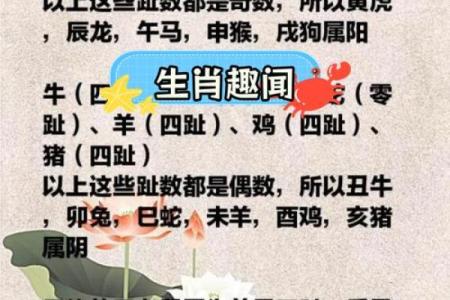 肖虎最佳配对生肖大揭秘