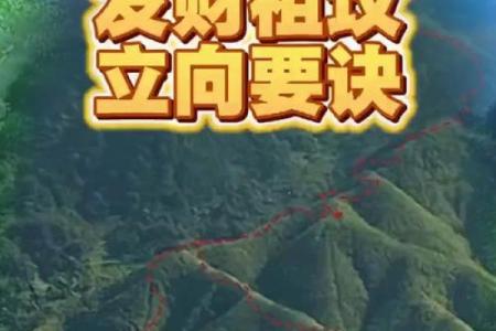 发财最猛的祖坟风水