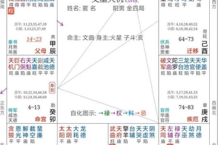 最准紫薇斗数app