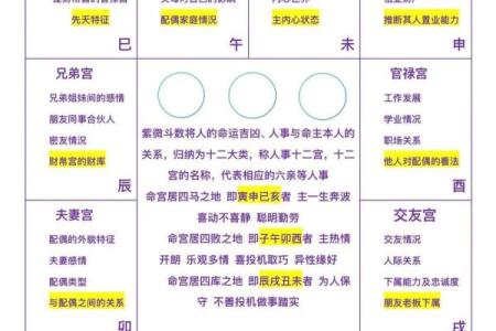 紫薇斗数abc.