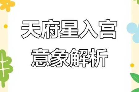 紫微斗数诸星落诸宫之：天府星夫妻宫详解
