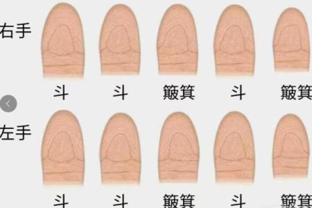 手指斗算命 手上有几个斗适合当老板
