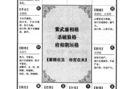 名人紫薇斗数格局