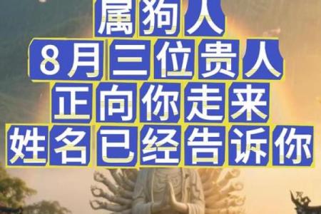 下午出生的属狗男孩取什么名，宜用什么字姓名