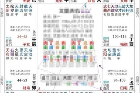 配偶本地外地紫薇斗数