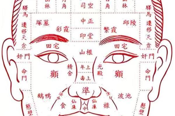 紫薇斗数看官灾