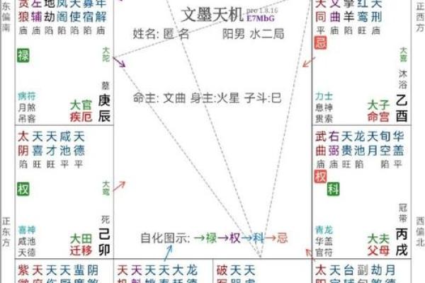 大数据紫薇斗数