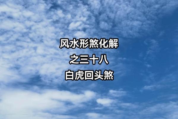 风水中的白虎煞，表示什么意思