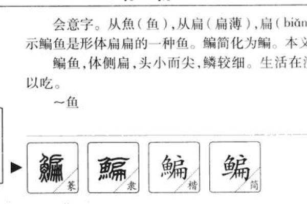 生辰八字字的拼音怎么读