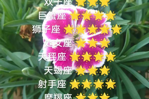 星座女神日运1223｜白羊家庭美满，金牛如鱼得水