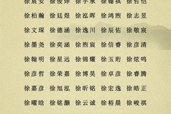 2019年3月25号辛时出生的男孩起名方法姓名