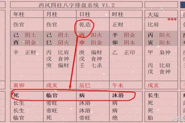 八字伤官女
