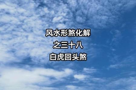 风水中的白虎煞，表示什么意思