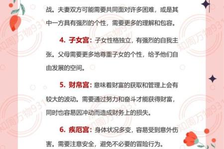 紫微斗数术语解释之：对星