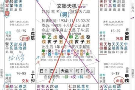 紫薇斗数权马