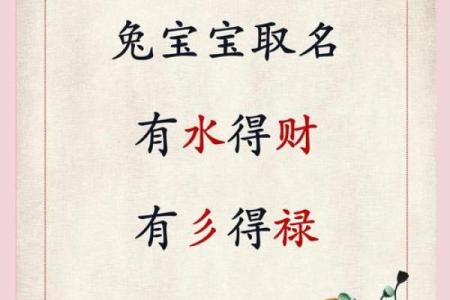 早上6点出生的属兔男孩如何取名姓名