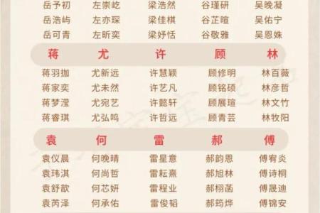 2019年3月25号辛时出生的男孩起名方法姓名
