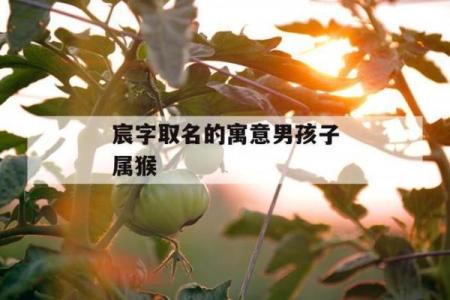 傍晚7点出生的属猴男孩要如何起名，适合用什么字姓名