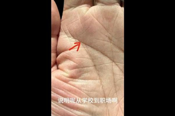 男人看手相算命财运怎么看 男人手中钱财纹多最有钱