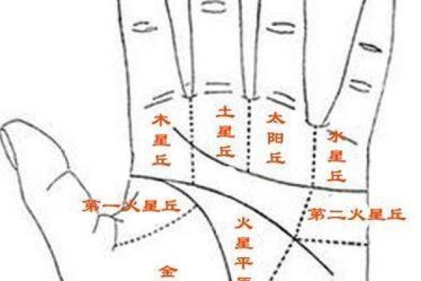看手相算命：第四课 论事业命运