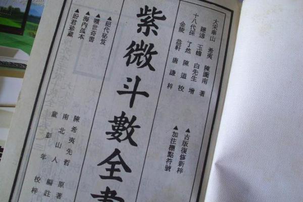 博士紫薇斗数