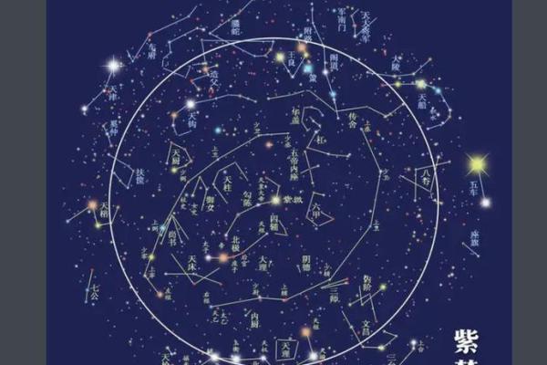 紫薇斗数冲合