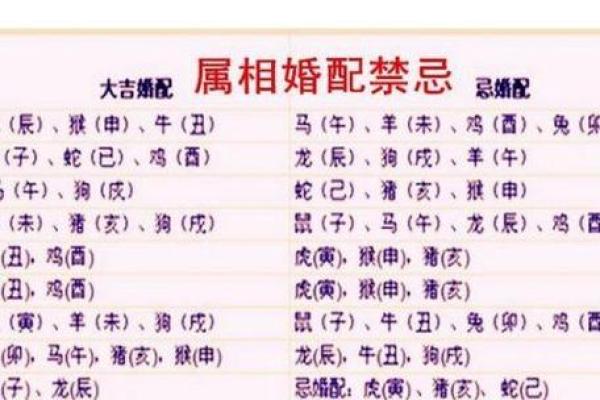算命网合婚