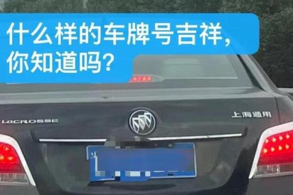 车牌吉凶查询打分测试免费 尾数为9的车牌号好不好
