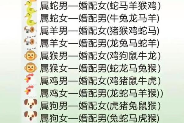 鼠的八字