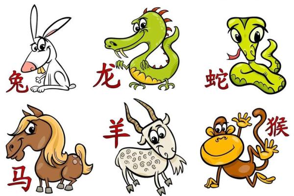 鼠的八字