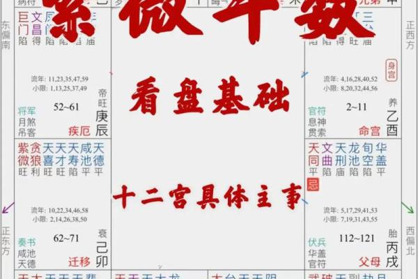 紫微斗数算命