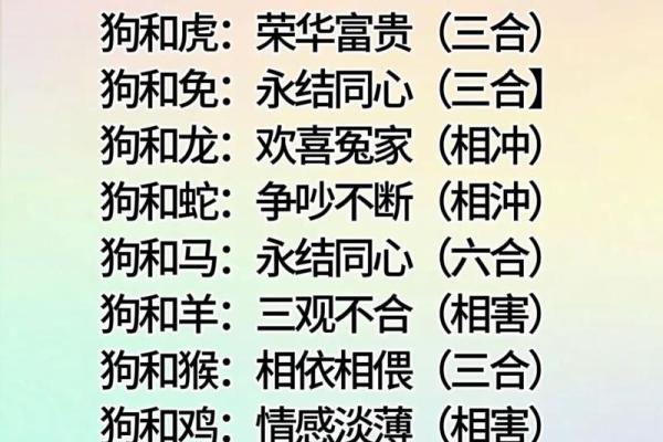 1996年属什么生肖配对 属相婚配表解析