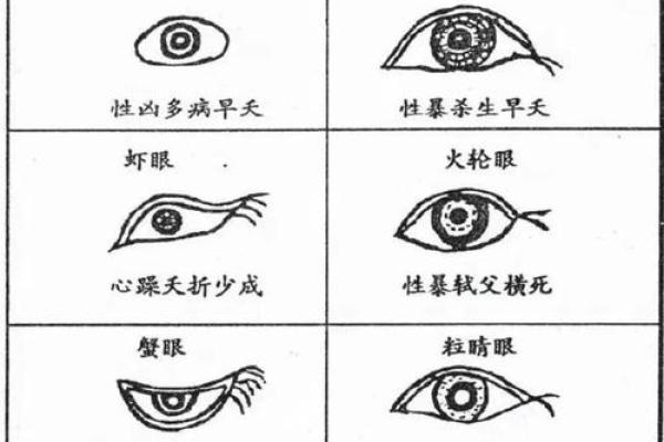 面相：眉形与命运，眉有断痕为什么不好？眉顺为好相，眉毛散乱多忧愁，八字眉个性随和