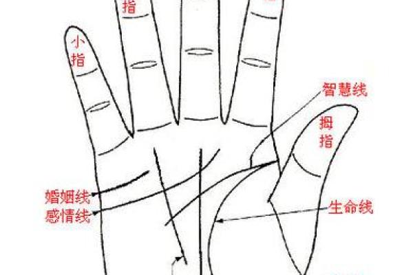 看手相为什么能从众多算命法中脱颖而出且延绵不绝？它真的不靠谱吗？