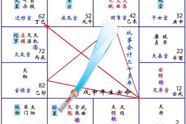 紫薇斗数天府男