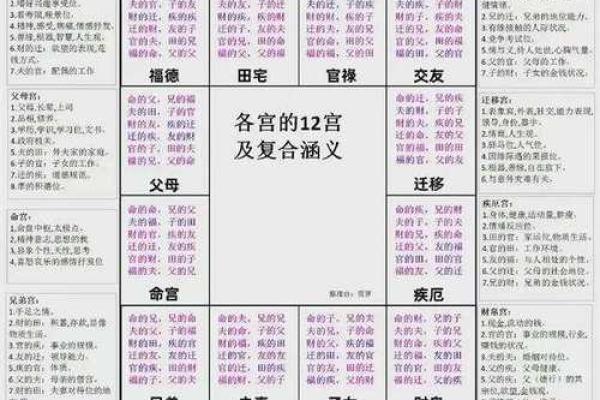 阿道夫紫薇斗数
