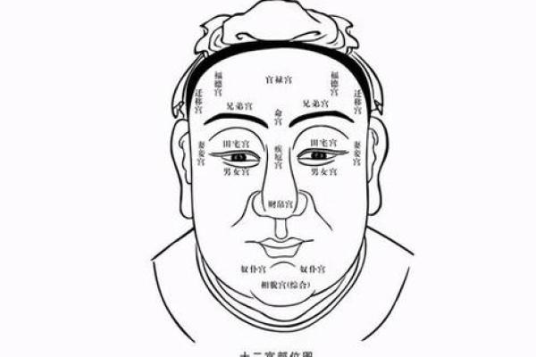 婴儿生辰八字