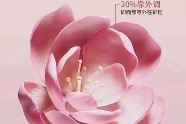 探索女性私密能量在风水中的重要性