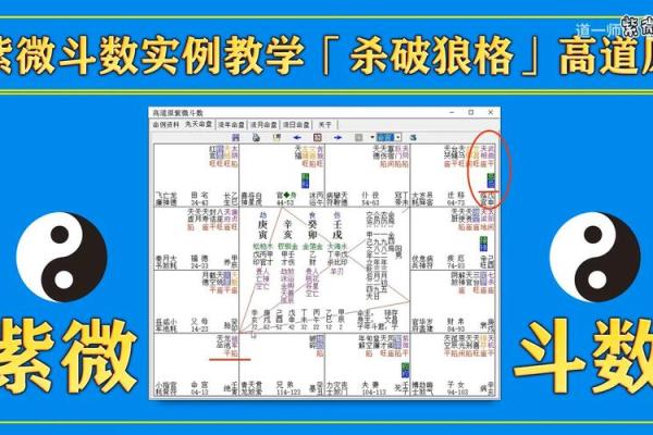紫微斗数开班 紫微斗数入门教学讲座视频？