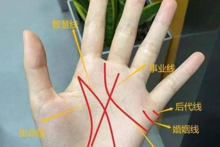 生命线上有三角纹是好兆头吗手相风水