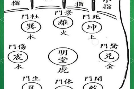 看手相算命：第四课 论事业命运