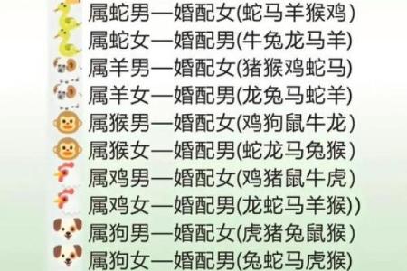 鼠的八字