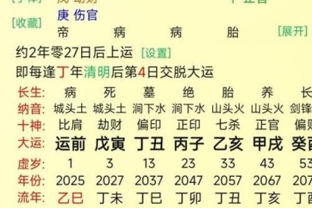 看命运八字
