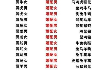 1996年属什么生肖配对 属相婚配表解析