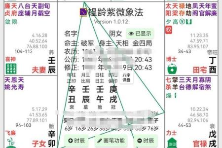 紫薇斗数更佳格局