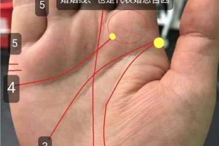看手相为什么能从众多算命法中脱颖而出且延绵不绝？它真的不靠谱吗？
