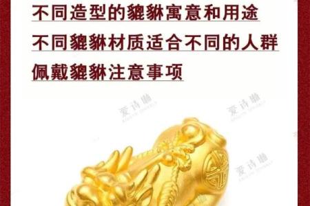 风水哪些人是不适合佩戴貔貅了