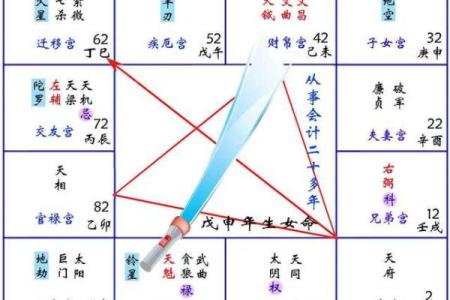 紫薇斗数天府男