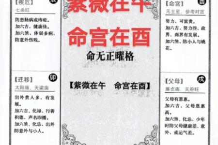 姓名紫薇斗数