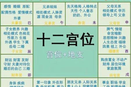 紫薇斗数身宫财帛